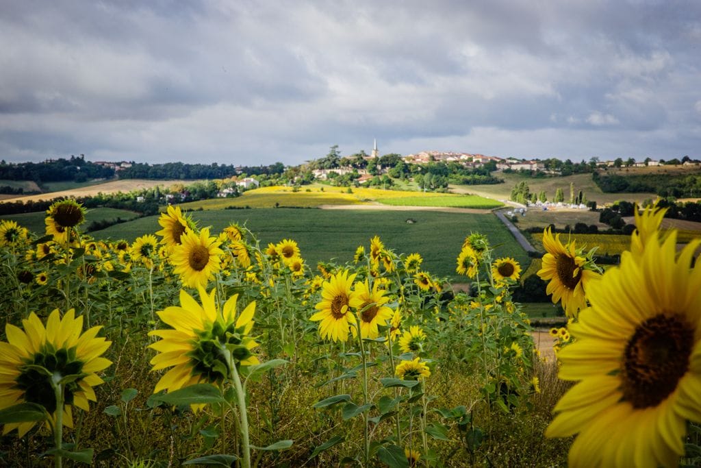 Patrimoine et vie locale à Auch, Gers